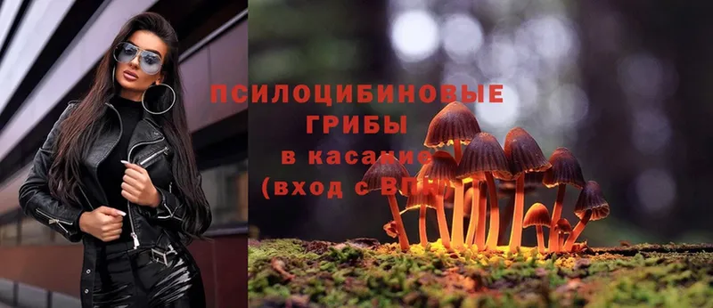 Галлюциногенные грибы Magic Shrooms  Тольятти 